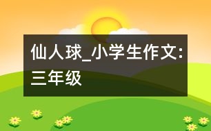 仙人球_小學(xué)生作文:三年級