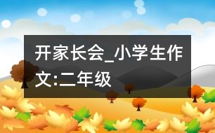 開家長(zhǎng)會(huì)_小學(xué)生作文:二年級(jí)