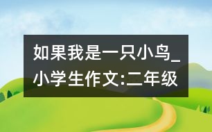 如果我是一只小鳥_小學(xué)生作文:二年級