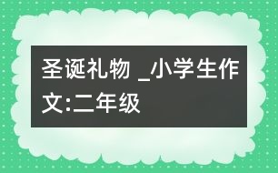 圣誕禮物 _小學生作文:二年級