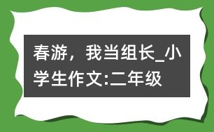 春游，我當(dāng)組長_小學(xué)生作文:二年級(jí)