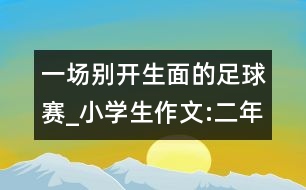 一場別開生面的足球賽_小學生作文:二年級