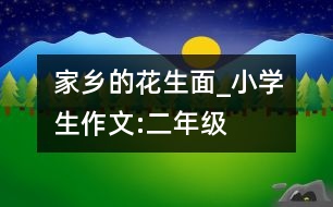 家鄉(xiāng)的花生面_小學(xué)生作文:二年級(jí)