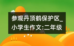 參觀丹頂鶴保護(hù)區(qū)_小學(xué)生作文:二年級