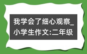 我學(xué)會(huì)了細(xì)心觀察_小學(xué)生作文:二年級(jí)