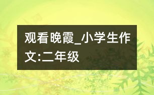 觀看晚霞_小學(xué)生作文:二年級(jí)