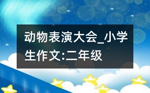 動物表演大會_小學(xué)生作文:二年級