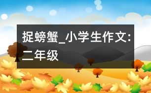 捉螃蟹_小學(xué)生作文:二年級