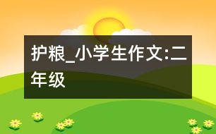 護(hù)糧_小學(xué)生作文:二年級(jí)