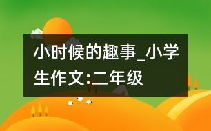 小時(shí)候的趣事_小學(xué)生作文:二年級(jí)