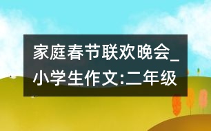 家庭春節(jié)聯(lián)歡晚會(huì)_小學(xué)生作文:二年級(jí)