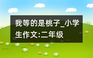 我等的是桃子_小學(xué)生作文:二年級