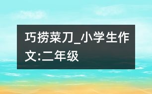 巧“撈”菜刀_小學生作文:二年級