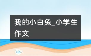 我的小白兔_小學生作文