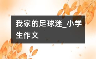 我家的足球迷_小學生作文