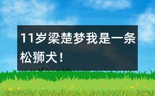 11歲梁楚夢：我是一條松獅犬！