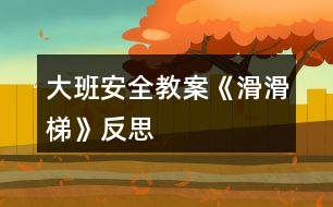 大班安全教案《滑滑梯》反思