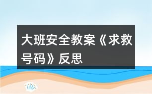 大班安全教案《求救號(hào)碼》反思