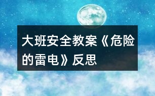 大班安全教案《危險的雷電》反思