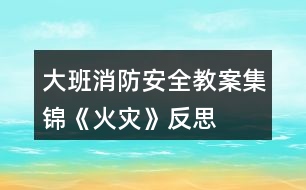 大班消防安全教案集錦《火災(zāi)》反思