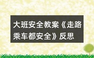 大班安全教案《走路乘車都安全》反思