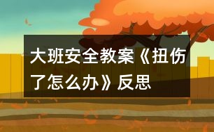 大班安全教案《扭傷了怎么辦》反思