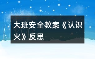 大班安全教案《認(rèn)識(shí)火》反思