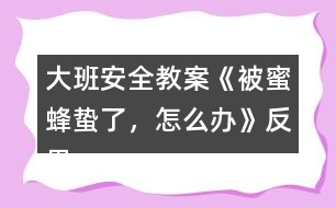 大班安全教案《被蜜蜂蟄了，怎么辦》反思