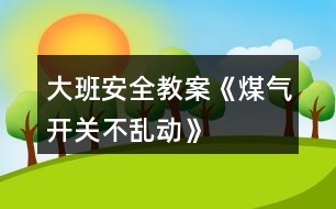 大班安全教案《煤氣開關不亂動》