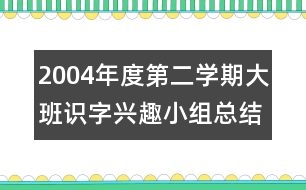 2004年度第二學(xué)期大班識(shí)字興趣小組總結(jié)