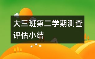 大三班第二學(xué)期測查評估小結(jié)