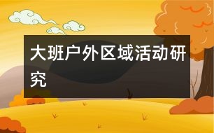 大班戶(hù)外區(qū)域活動(dòng)研究