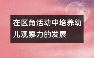 在區(qū)角活動中培養(yǎng)幼兒觀察力的發(fā)展