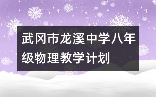 武岡市龍溪中學(xué)八年級(jí)物理教學(xué)計(jì)劃