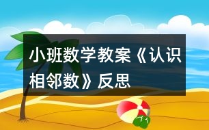 小班數(shù)學(xué)教案《認(rèn)識(shí)相鄰數(shù)》反思