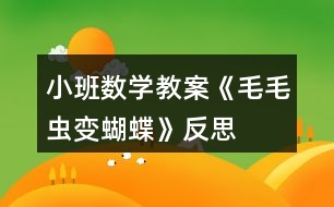 小班數(shù)學(xué)教案《毛毛蟲變蝴蝶》反思