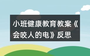 小班健康教育教案《會(huì)咬人的電》反思