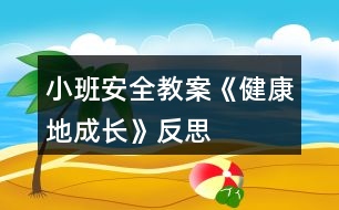 小班安全教案《健康地成長》反思