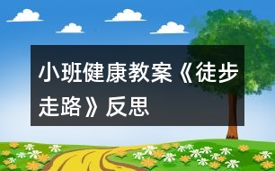 小班健康教案《徒步走路》反思