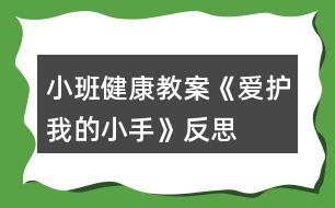 小班健康教案《愛(ài)護(hù)我的小手》反思