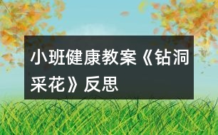 小班健康教案《鉆洞采花》反思