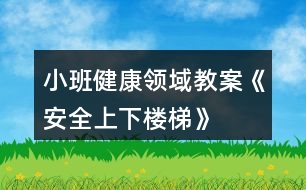 小班健康領域教案《安全上下樓梯》