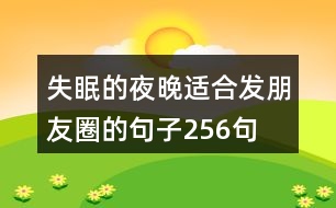 失眠的夜晚適合發(fā)朋友圈的句子256句