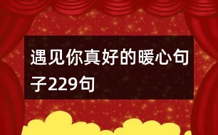 遇見(jiàn)你真好的暖心句子229句