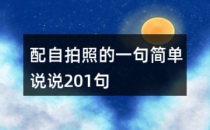 配自拍照的一句簡單說說201句