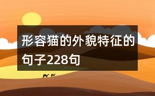 形容貓的外貌特征的句子228句