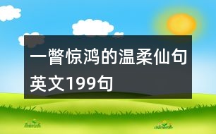 一瞥驚鴻的溫柔仙句英文199句