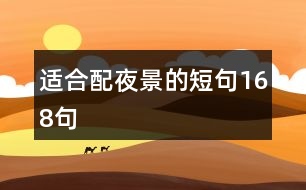 適合配夜景的短句168句