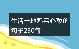 生活一地雞毛心酸的句子230句