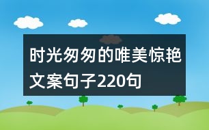 時(shí)光匆匆的唯美驚艷文案句子220句